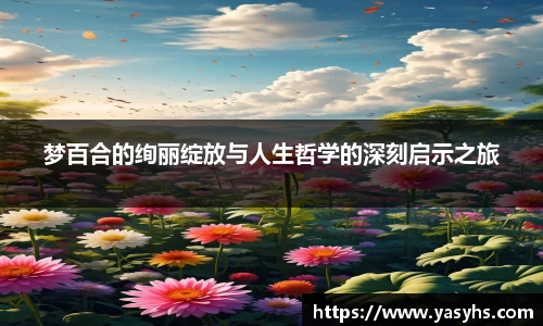 星空体育app